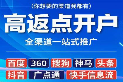 网络推广竞价策略案例分析